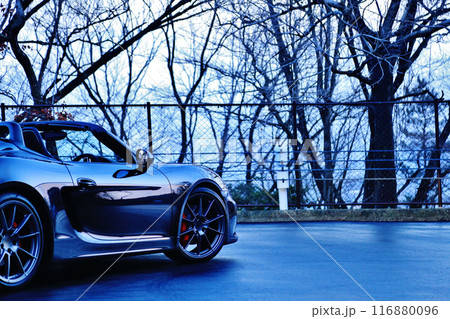 黒いツヤツヤのオープンカー 黒いツヤツヤのオープンカー 116880096