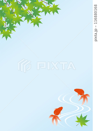 青もみじと泳ぐ赤い金魚の背景イラスト_縦 青もみじと泳ぐ赤い金魚の背景イラスト_縦 116880168