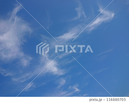 青空と雲 116880703