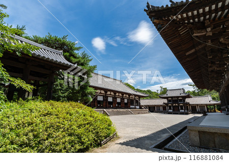 唐招提寺 唐招提寺 116881084