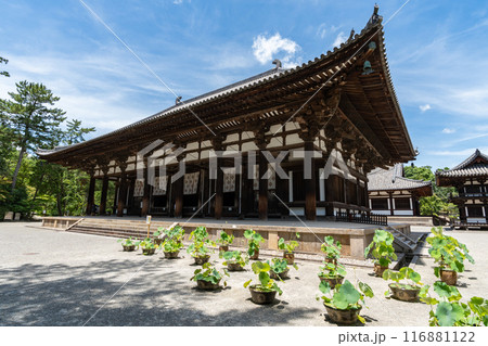 唐招提寺 116881122