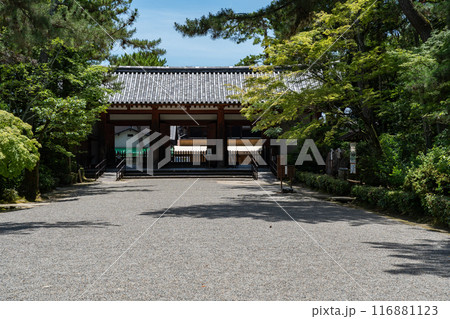 唐招提寺 116881123