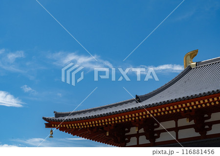 薬師寺 薬師寺 116881456