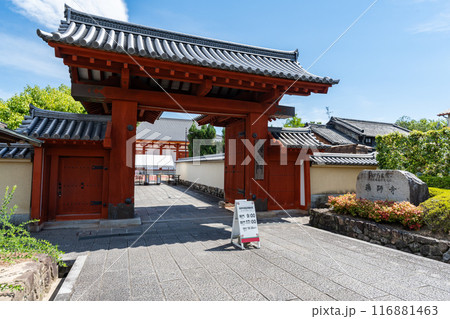 薬師寺 116881463