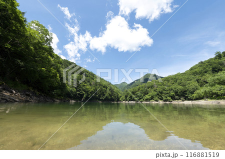 夏の切込湖 夏の切込湖 116881519