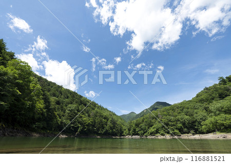 夏の切込湖 116881521