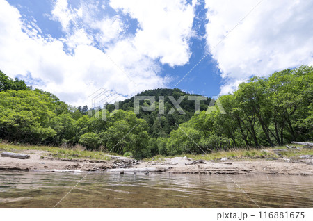 夏の苅込湖 夏の苅込湖 116881675