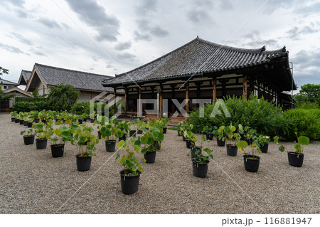 元興寺 116881947