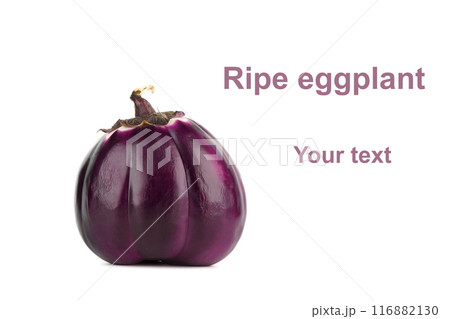 Ripe spherical eggplant on white background with example text. Ripe spherical eggplant on white background with example text. 116882130