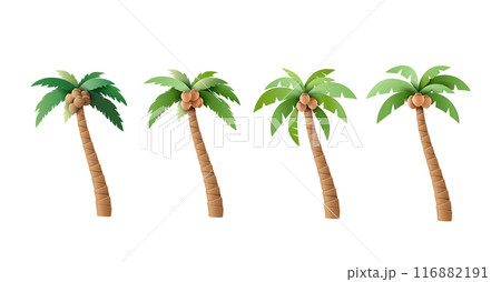 Set of Vector Palm Trees with Coconuts Illustrations 116882191