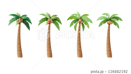 Set of Vector Palm Trees with Coconuts Illustrations 116882192