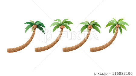 Set of Vector Palm Trees with Coconuts Illustrations 116882196