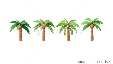 Set of Vector Palm Trees with Coconuts Illustrations 116882197