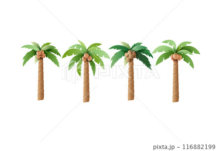 Set of Vector Palm Trees with Coconuts Illustrations 116882199
