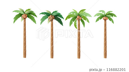 Set of Vector Palm Trees with Coconuts Illustrations 116882201