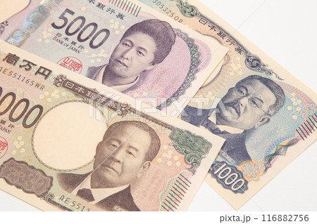 お金　新紙幣 116882756