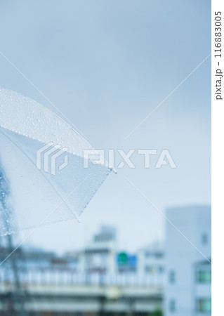 降りしきる雨の中、力強く傘をさすミドル女性 降りしきる雨の中、力強く傘をさすミドル女性 116883005