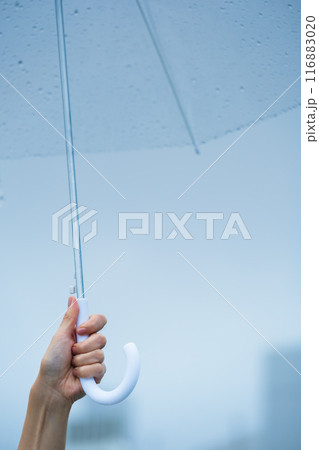 降りしきる雨の中、力強く傘をさすミドル女性 116883020