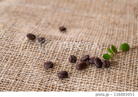 コーヒー豆 116883051