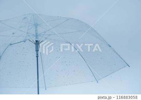 降りしきる雨の中、力強く傘をさすミドル女性 降りしきる雨の中、力強く傘をさすミドル女性 116883058