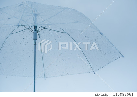 降りしきる雨の中、力強く傘をさすミドル女性 降りしきる雨の中、力強く傘をさすミドル女性 116883061