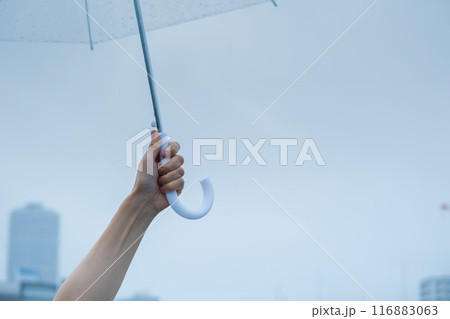 降りしきる雨の中、力強く傘をさすミドル女性 降りしきる雨の中、力強く傘をさすミドル女性 116883063