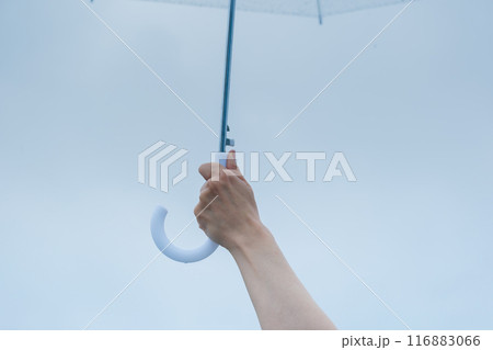 降りしきる雨の中、力強く傘をさすミドル女性 116883066
