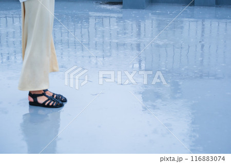 降りしきる雨の中佇むミドル女性 降りしきる雨の中佇むミドル女性 116883074