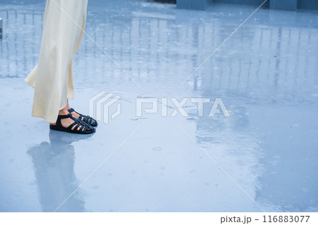 降りしきる雨の中佇むミドル女性 降りしきる雨の中佇むミドル女性 116883077