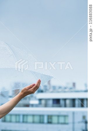 降りしきる雨の中、力強く傘をさすミドル女性 116883088