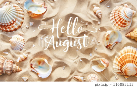 Hello August - modern calligraphy lettering. Summer concept background, with sand beach background. Seashells frame Hello August - modern calligraphy lettering. Summer concept background, with sand beach background. Seashells frame 116883113