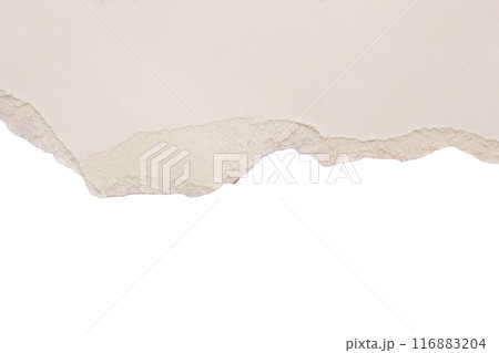 White ripped paper torn edges strips isolated on white background 116883204