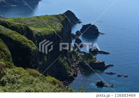 摩天崖からの景色 116883469