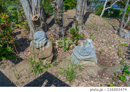 奈良県明日香村 檜隈墓にある猿石 奈良県明日香村 檜隈墓にある猿石 116883474