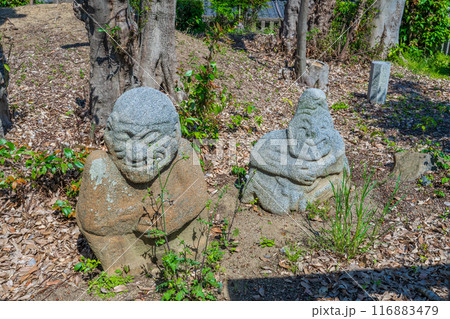 奈良県明日香村　檜隈墓にある猿石 116883479