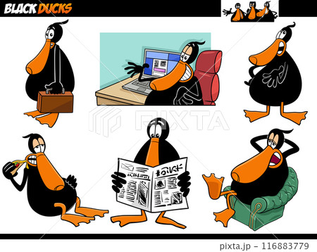cartoon black ducks animal characters concept set cartoon black ducks animal characters concept set 116883779