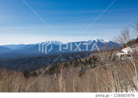 北海道 冬の三国峠 116883976