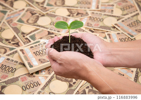 投資 資産運用 イメージ  投資 資産運用 イメージ  116883996