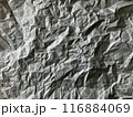 しわしわの紙02 116884069