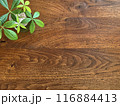 木目テーブルとパキラ 116884413