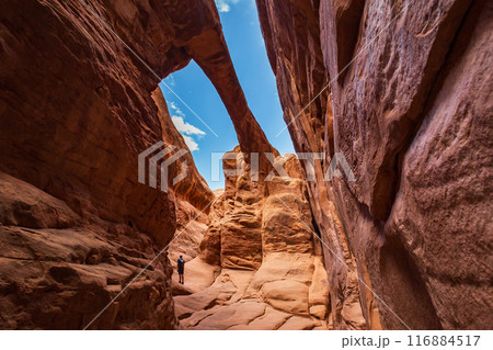 Fiery Furnace and Surprise Arch, Utah, USA 116884517