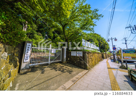 日本の大磯都市景観　7月。JR大磯駅前などを望む＝令和6年7月22日 116884633