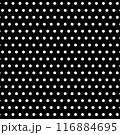 Black and white Seamless Polka Dot Pattern. Vector. Casual Polka Dot texture on plain background. Design for printing on fabric, wallpaper, wrapping paper, interior decor, textiles and other users 116884695