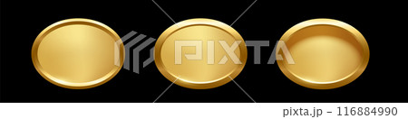 Gold ellipse button with frame vector illustration set. 3d golden glossy elegant oval design for empty emblem, medal or badge, shiny and gradient light effect on plate isolated on black background 116884990