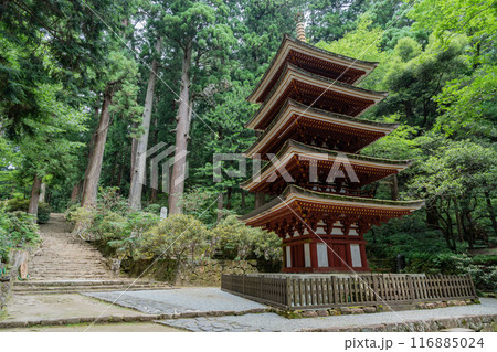 室生寺 室生寺 116885024