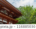室生寺 116885030