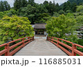 室生寺 116885031