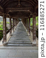 長谷寺 116885271