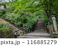 長谷寺 116885279
