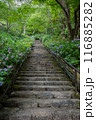 長谷寺 116885282